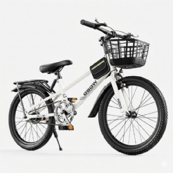 Sports Kids Bike with High Carbon Steel Frame | Durable Children’s Bicycle Manufacturer